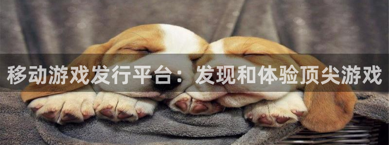 广州蓝狮网络科技有限公司电话：移动游戏发行平台：发现和体验顶尖游戏