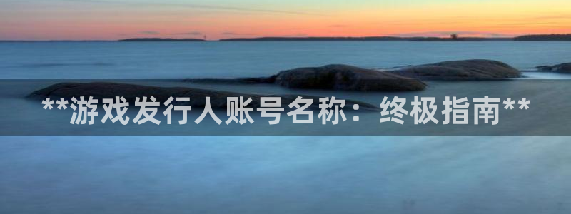 蓝狮品牌策划：**游戏发行人账号名称：终极指南**