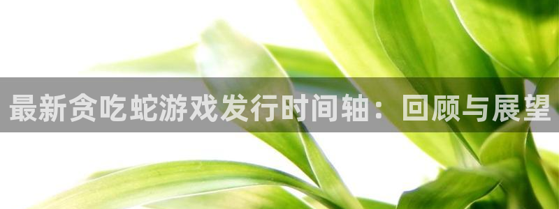 蓝狮logo片头米高梅狮子：最新贪吃蛇游戏发行时间轴：回顾与展望