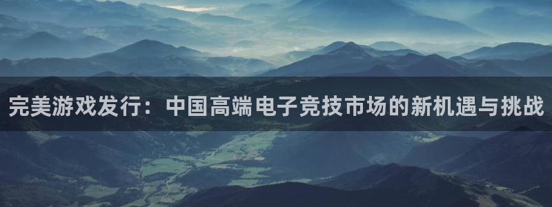 蓝狮在线注册平台怎么注册的：完美游戏发行：中国高端电子竞技市场的新机遇与挑战
