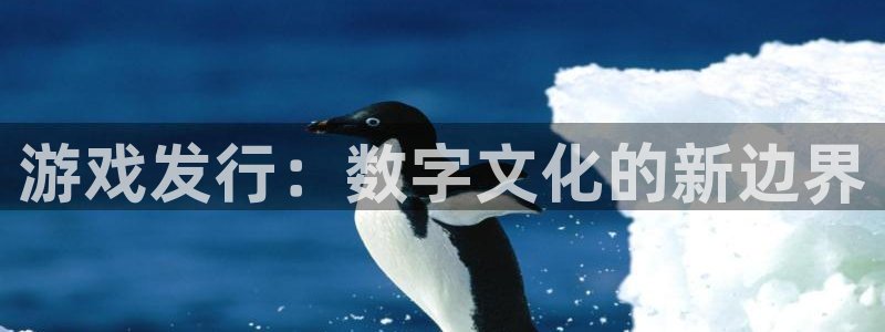 蓝狮电子商务有限公司怎么样：游戏发行：数字文化的新边界