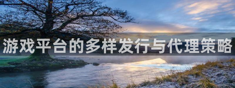 蓝狮品牌顾问有限公司：游戏平台的多样发行与代理策略