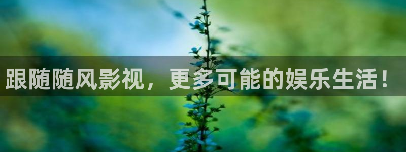 熊猫电视价格：跟随随风影视，更多可能的娱乐生活！