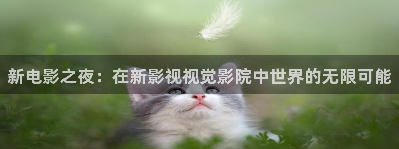 熊猫电影yy8y3(6)：新电影之夜：在新影视视觉影院中世界的无限可能