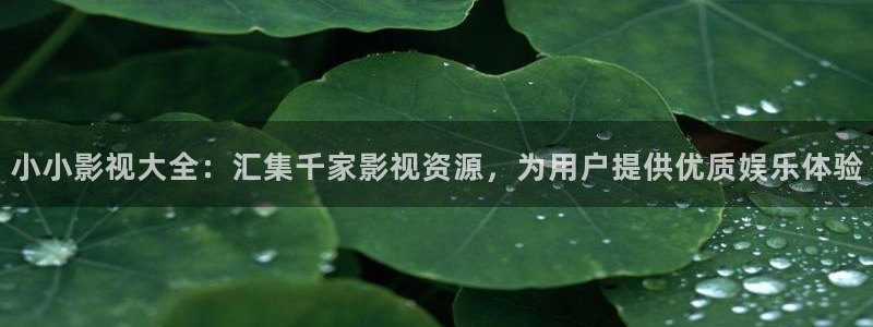 熊猫影院高清在线观看：小小影视大全：汇集千家影视资源，为用户提供优质娱乐体验
