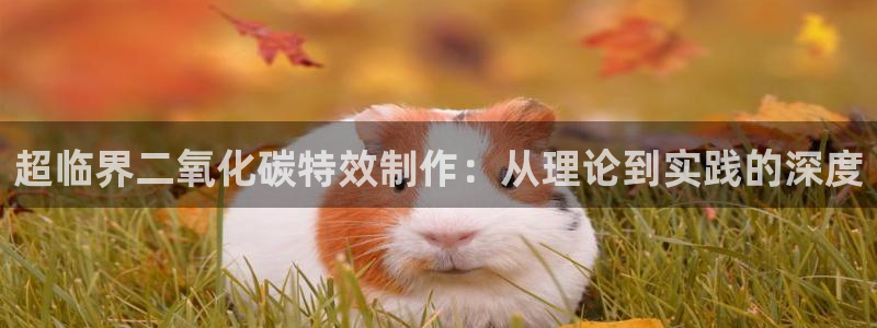 大熊猫 电影：超临界二氧化碳特效制作：从理论到实践的深度