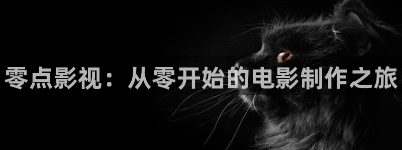 我是大熊猫电影：零点影视：从零开始的电影制作之旅