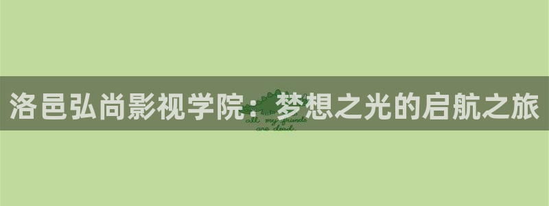 熊猫电影yy8y4(4)：洛邑弘尚影视学院：梦想之光的启航之旅