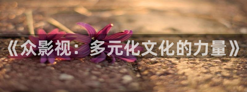 熊猫电视大全：《众影视：多元化文化的力量》