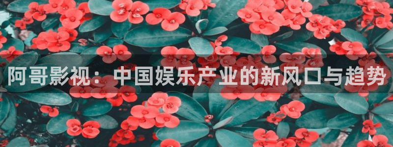 熊猫在线电影观看：阿哥影视：中国娱乐产业的新风口与趋势