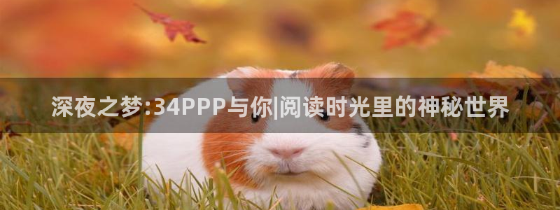 熊猫电影xm66官网入口：深夜之梦:34PPP与你|阅读时光里的神秘世界
