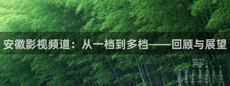 熊猫游戏：安徽影视频道：从一档到多档——回顾与展望