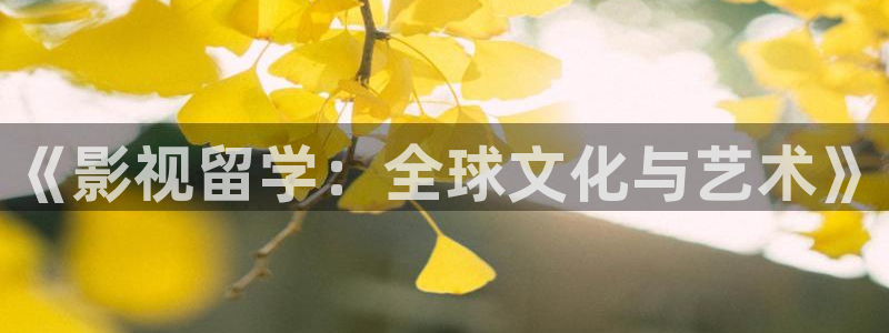 熊猫电影院：《影视留学：全球文化与艺术》
