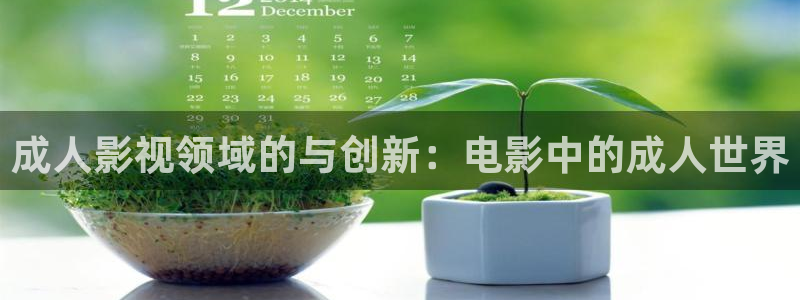 熊猫电影yy8y3(3)免费观看高清：成人影视领域的与创新：电影中的成人世界