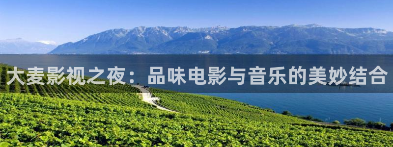 高清熊猫影视网站：大麦影视之夜：品味电影与音乐的美妙结合