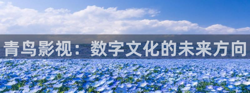 熊猫电影yy8y8全部免费观看：青鸟影视：数字文化的未来方向